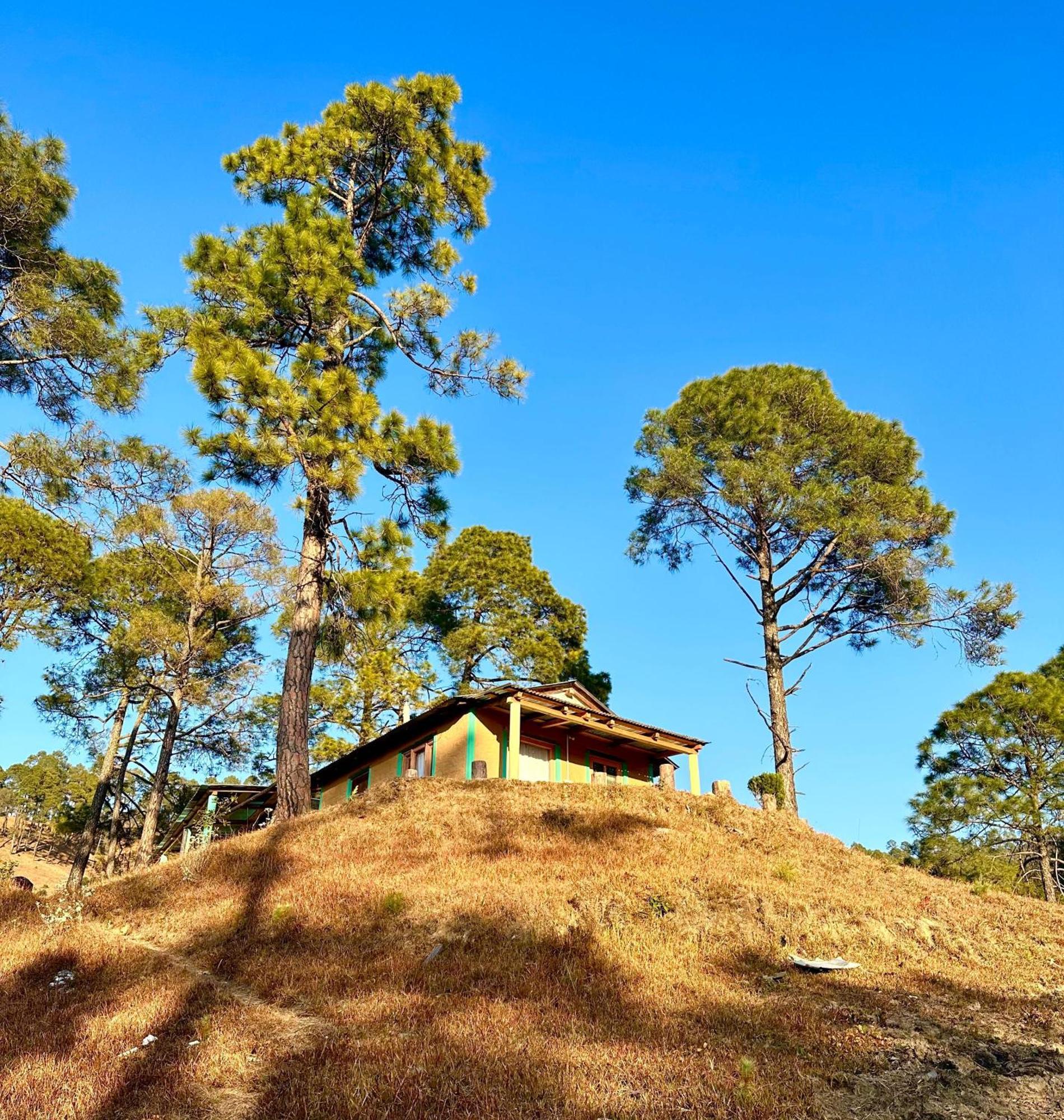 Joshi Cottage บินซาร์ ภายนอก รูปภาพ